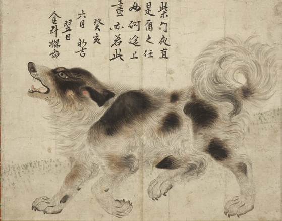 ″Sapsaree dog,″ painted by artist Kim Du-ryang in the 18th century, with text written by King Yeongjo [NATIONAL MUSEUM OF KOREA]