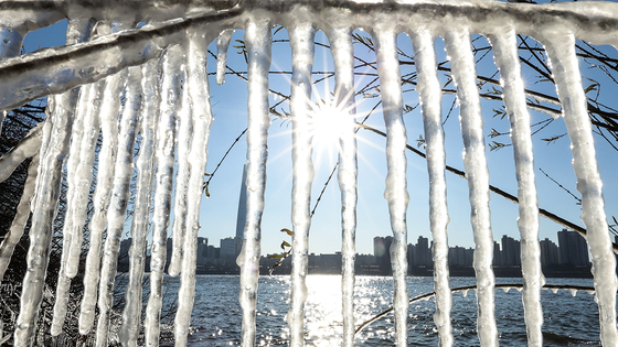 Icicles hanging on the branches of trees on the waterfront in Ttukseom Han River Park in Seoul on Sunday. [NEWS1] 