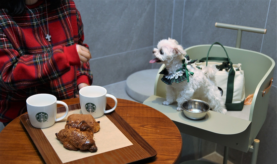 Starbucks Korea's upcoming location in Guri, Gyeonggi, will have a pet zone where customers can enjoy drinks with their pets. [STARBUCKS KOREA]
