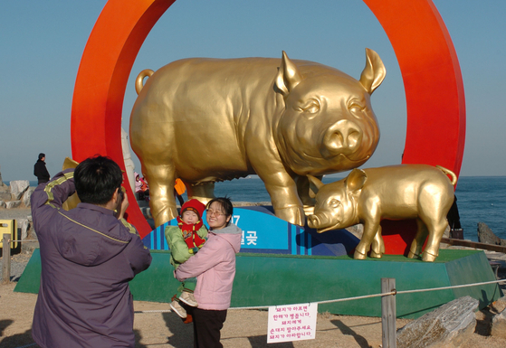 A family takes a photo in front of the statue of golden pigs in Ulsan in Dec. 29 in 2006. [JOONGANG PHOTO]