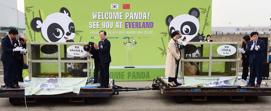 The panda pair - Ai Bao and Le Bao - arrive in Korea in March 2016. [JOONGANG PHOTO]