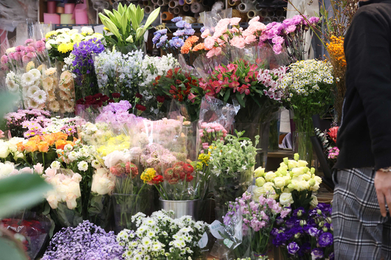 Flowers are on display at Yangjae Flower Market in Seoul on Jan. 5. [YONHAP]