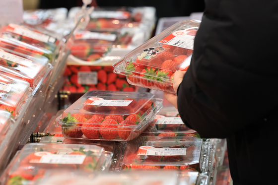 Strawberries, which have become 154.1 percent pricier than they were just last month, are on display at a supermarket in Seoul on Tuesday. Korea's producer price index (PPI), a major indicator of consumer inflation, rose 0.1 percent on month in December, coming to 121.19, according to data from the Bank of Korea on Tuesday. [YONHAP]