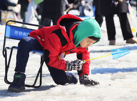 A child concentrates on catching trout despite the intense cold at the Pyeongchang Trout Festival in Pyeongchang County, Gangwon. [NEWS1]
