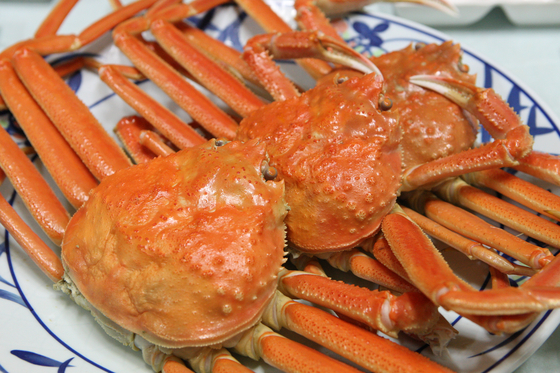 Snow crabs are a specialty of Uljin County in North Gyeongsang. [ULJIN COUNTY OFFICE]