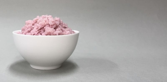 "Meat rice″ comes in pink color and is made of rice and lab-grown bovine stem cells. [YONSEI UNIVERSITY]