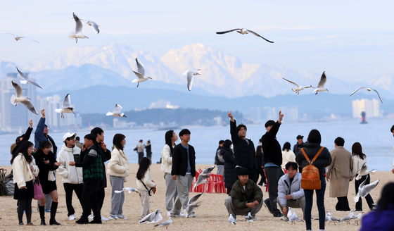 With spring in the air, tourists enjoy the beach and feed seagulls at Anmok Beach in Gangneung, Gangwon, on Sunday. The mountains in the distance are covered in white snow, creating a contrast as temperatures peaked at 19 degrees Celcius (66.2 degrees Fahrenheit). Temperatures are expected to plummet this week with forecasts of rain and snow. [YONHAP]