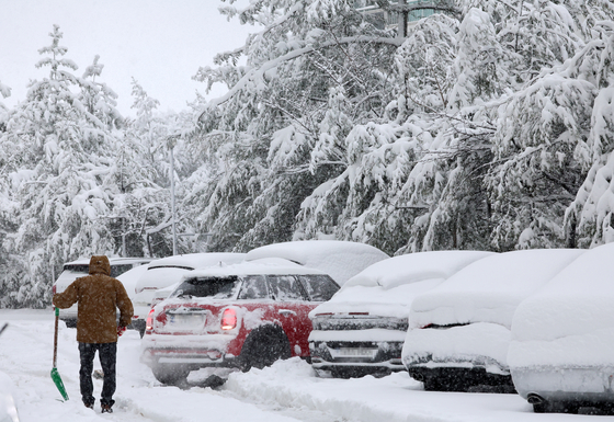 Heavy snowfall covers cars parked at an apartment complex in Gangwon on Thursday. [YONHAP] 