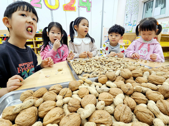 Children crack bureom, or nuts, a tradition during the Jeongwol Daeboreum holiday, at a kindergarten for kids whose parents are employees at the Buk District Office in Gwangju on Thursday. [BUK DISTRICT OFFICE]