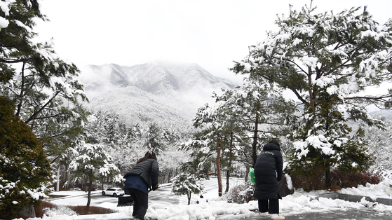 People clear the snow that fell in Geochang County, South Gyeongsang, on Tuesday. [GEOCHANG COUNTY OFFICE]