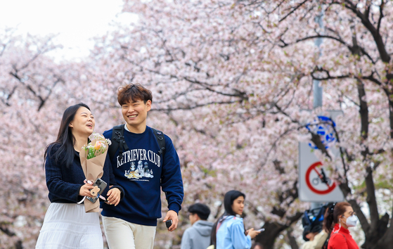 A couple walks underneath the cherry blossom trees at Yeouido in Yeongdeungpo District, western Seoul. [YONHAP]