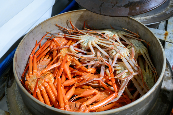 Snow crabs, both white and red belly at Wangdolhoe Restaurant in Uljin [YIM SEUNG-HYE]