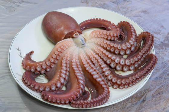 Steamed octopus at Wangdolhoe Restaurant in Uljin [YIM SEUNG-HYE] 