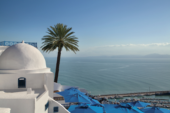 Sidi Bou Said, a town in Tunisia, is seen overlooking the Mediterranean Sea. [EMBASSY OF TUNISIA]