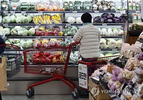 A customer shops at a major discount chain store in Seoul on March 26, 2024. [YONHAP]