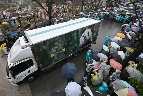 A crowd of people gather to see a vehicle carrying Fu Bao in a rainy farewell ceremony before the first giant panda born in Korea is transferred to the airport for China at Everland in Yongin, Gyeonggi, Wednesday. [AFP/YONHAP]