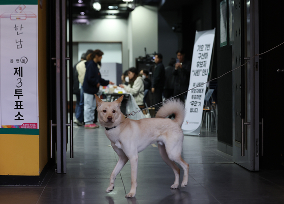 A watchful dog waits for his owner at a polling station for the general election at an education center in Hannam-dong in Yongsan District, central Seoul, on April 10. [YONHAP]