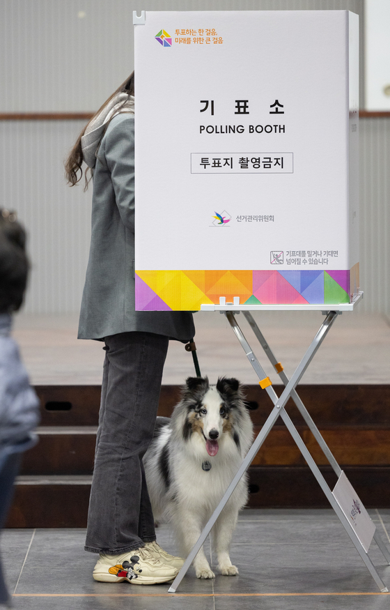 A dog joins her owner in the polling booth in Hannam-dong in Yongsan District, central Seoul, on April 10. [NEWS1]