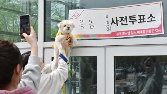 Voters take commemorative photos of their polling pooch at an early voting station in Buk District in Gwangju on April 6, during the two-day advance voting period of the general election. [NEWS1] 