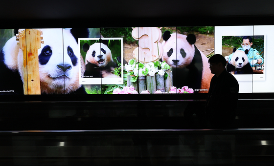 A passerby walks past a display of videos featuring Fu Bao at Terminal 1 in Incheon International Airport on March 21. [YONHAP]