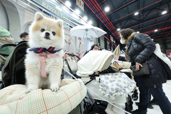 A pet dog is waiting as her owner shops for pet products at the 2024 K Pet Fair Setec held at the Seoul Trade Exhibition & Convention in Gangnam District, southern Seoul, on March 15. [NEWS1]