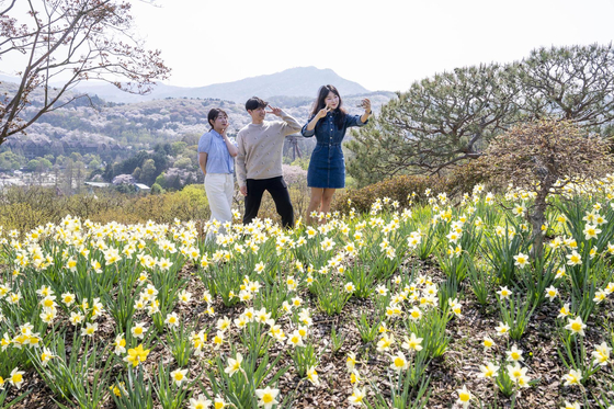 Visitors take selfies among a sea of flowers at the Sky Garden Trail.  [SAMSUNG C&T]
