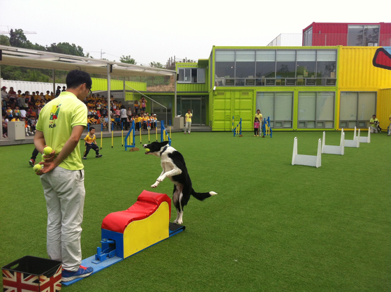 A dog is trained by a professional at a dog park inside the Dukpyeong Eco-Service Area in Gyeonggi. The service plaza operator, Naturebridge, opened the facility in 2013 to attract travelers with pets. [KOREA EXPRESSWAY CORPORATION]