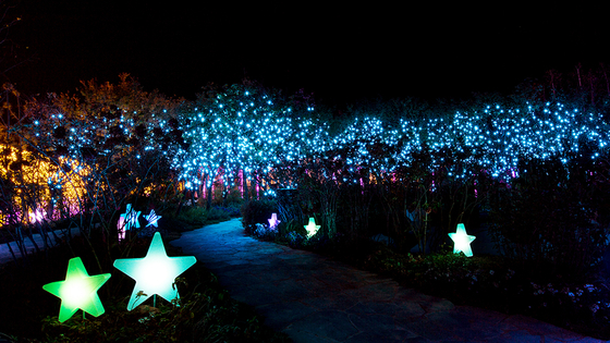LED light bulbs installed on trees brighten the nightscape of a spacec behind the Deokpyeong Eco-Service Area. The decorated area is dubbed the ″Starlight Garden Ooozooo.″ [OOOZOOO]
