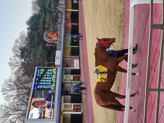 A horse walks around the track so that people can decide which horse to bet on. [KIM DONG-EUN]