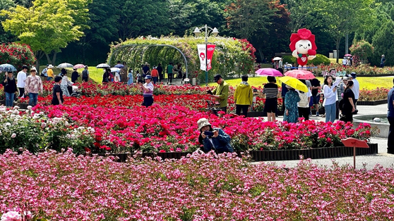 People enjoy blooming roses on Thursday at the Rose Festival in Ulsan Grand Park, which features 3 million roses from 265 species. [SK INNOVATION]