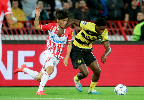 Red Star Belgrade's Hwang In-beom, left, vies for the ball with Young Boy's Joel Monteiro during a UEFA Champions League Group G match in Belgrade, Serbia on Oct. 4, 2023. [XINHUA/YONHAP]