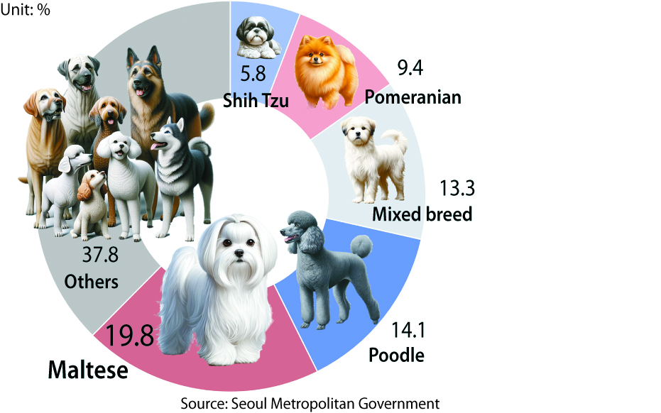 The graph shows percentages of various dog breeds registered in Seoul. [SEOUL METROPOLITAN GOVERNMENT]