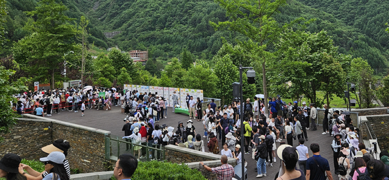 General visitors wait in a queue to see pandas at Wolong Shenshuping Panda Base in Sichuan Province in China on Wednesday. [NEWS1]