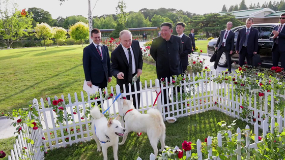 North Korean leader Kim Jong-un, right, and Russian President Vladimir Putin, center, view a pair of Pungsan hunting dogs while taking a walk in the gardens of the Kumsusan Guest House in Pyongyang on Wednesday, as seen in a screen capture from the North’s state-run Korean Central Television Thursday. Kim gave a pair of Pungsan dogs to Putin as a gift after their bilateral summit, North Korean state media reported Thursday. He also gave former South Korean President Moon Jae-in Pungsan dogs as gifts after an inter-Korean summit in 2018. [YONHAP]