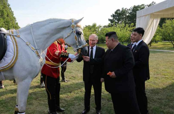 North Korean leader Kim Jong-un, front, and Russian President Vladimir Putin, left, view a horse while taking a walk in the gardens of the Kumsusan Guest House in Pyongyang on Wednesday in a photograph released by the state-run Rodong Sinmun Thursday. [YONHAP]