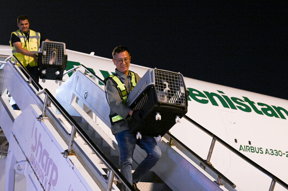 Two Alabai dogs in cages are carried by handlers after disembarking from a cargo airplane after arriving at Incheon International Airport on Tuesday night. [PRESIDENTIAL OFFICE] 