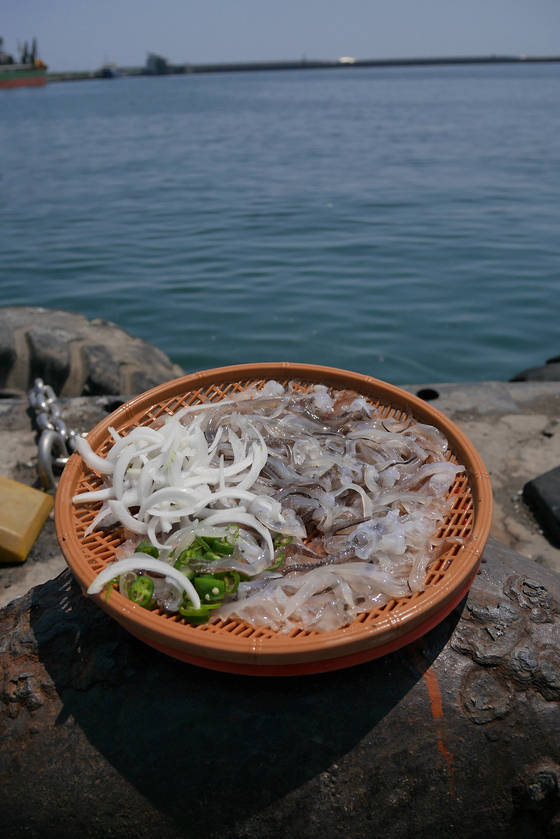 Raw squid hoe at pocha (outdoor food tent) street in front of the Dongmyeong Port in Sokcho, Gangwon. [JOONGANG ILBO]