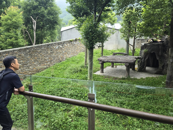 Everland zookeeper Kang Cheol-won meets with famed panda Fu Bao in Wolong, China, on July 4 [SAMSUNG C&T]