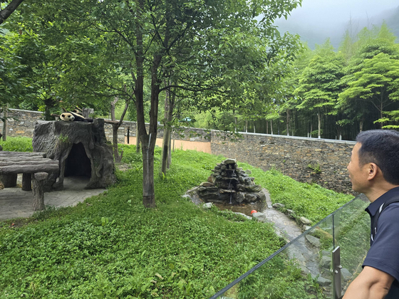 Everland zookeeper Kang Cheol-won meets with famed panda Fu Bao in Wolong, China, on July 4 [SAMSUNG C&T]