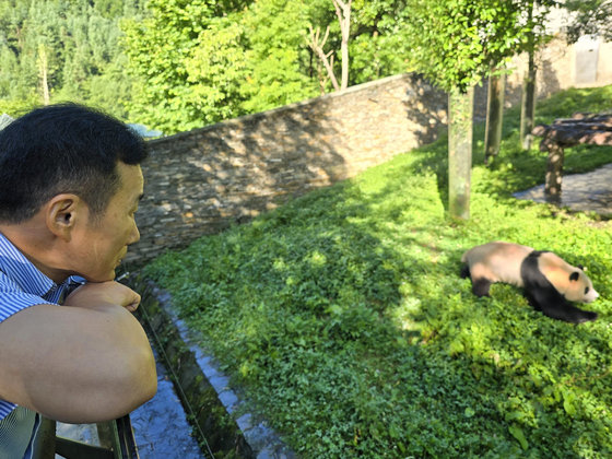 Everland zookeeper Kang Cheol-won meets with famed panda Fu Bao in Wolong, China, on July 5 [SAMSUNG C&T]