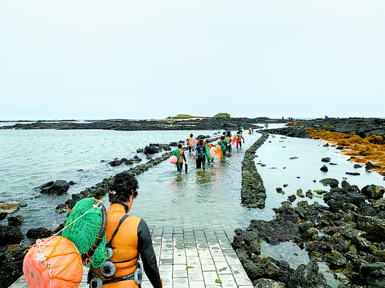 As legendary female divers gradually disappear, the Jeju government is taking action