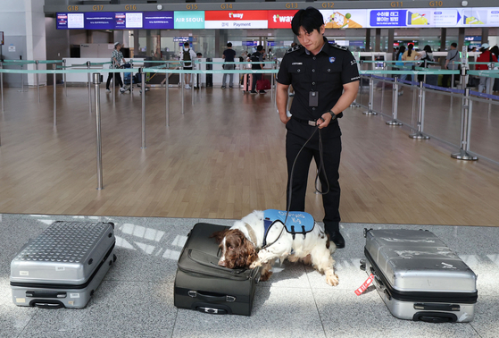 A drug-sniffing dog takes part in a campaign against drug smuggling at Incheon International Airport, west of Seoul, on June 18. [YONHAP]