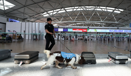An official and a sniffer dog carries out a test run of detecting drugs at Incheon Airport on June 18. [NEWS1] 