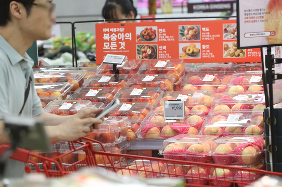 Boxes of peaches selected by an AI system are on display for sales at a Lotte Mart's Seoul Station branch in central Seoul on Thursday. The AI system takes three to four photos of the peaches per second on a conveyor belt to sort out the damaged ones. [YONHAP]