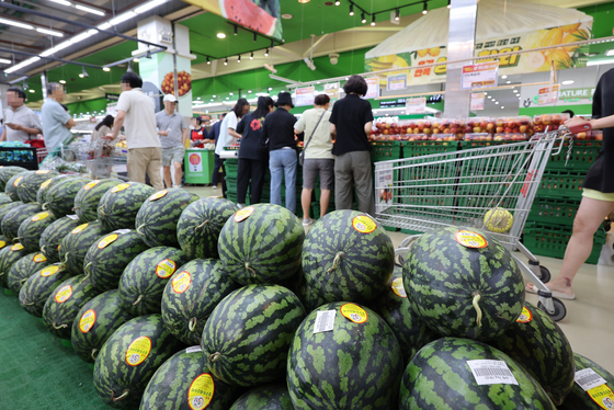 Watermelons are displayed at a discount supermarket in Seocho District, southern Seoul, on Sunday. [YONHAP]