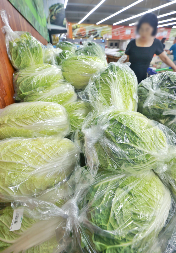 Napa cabbages are on display at a discount mart in downtown Seoul on Sunday as prices of fruits and vegetables spike following recent heavy downpours that damaged many farms. [YONHAP]