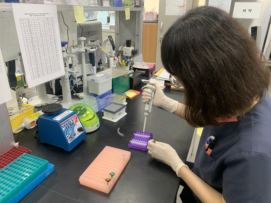 A researcher works on identifying dog species. [SEOUL METROPOLITAN GOVERNMENT]