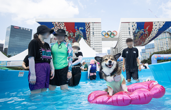 Dogs and pet owners keep cool at the Haha Hoho Water Park located in the Olympic Park in Songpa District, eastern Seoul, on Sunday. [NEWS1]