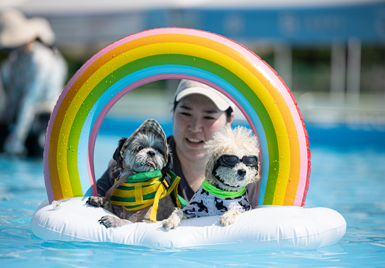 Dogs and their owner cool off at the Haha Hoho Water Park located in the Olympic Park in Songpa District, eastern Seoul, on Sunday. [NEWS1]