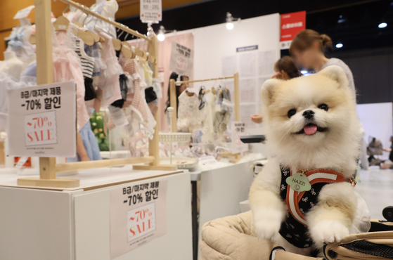  A dog sits in a stroller at the 2024 K-Pet Fair at Coex in southern Seoul on Friday. [YONHAP]